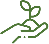 التقارير المالية والميزانيات