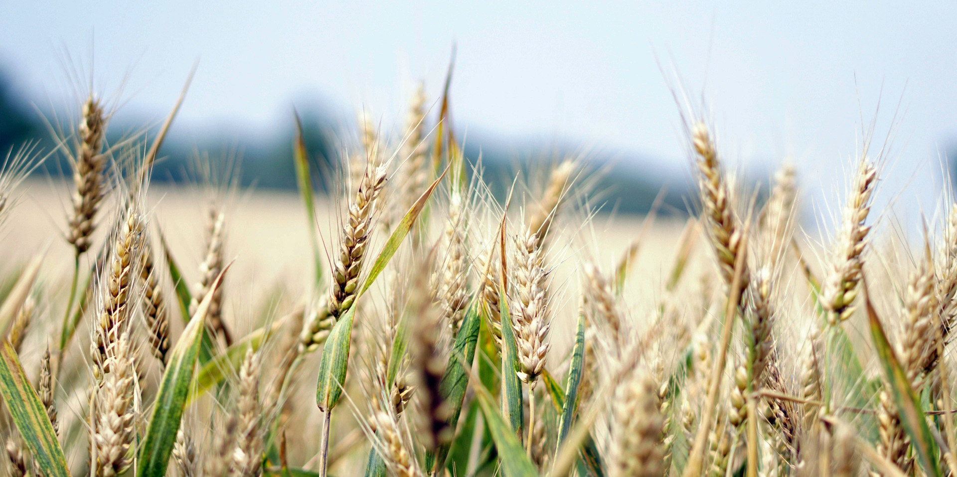 مرحبا بكم في موقع