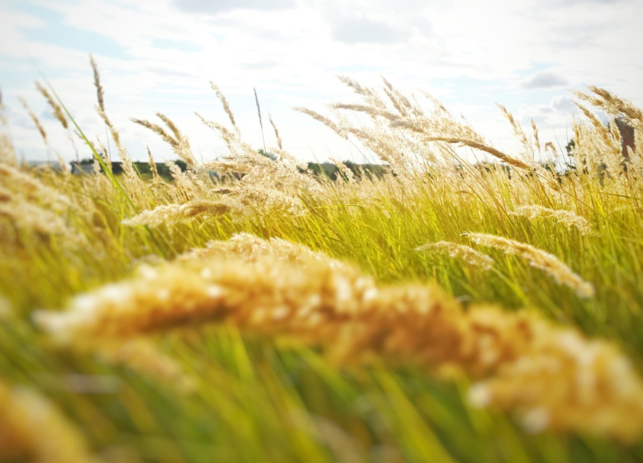 مرحبا بكم في موقع